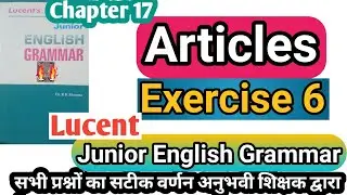 Exercise 6 articles | lucent grammar