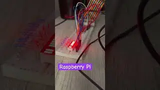 Raspberry Pi Beginner Kit - LED Bar Graph #raspberrypi #raspberrypiprojects #electronics #python