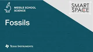 Fossils: Middle School Science Video Lessons