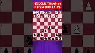 💥БЕССМЕРТНАЯ ПАРТИЯ КАРЛА ШЛЕХТЕРА #shorts