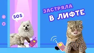 АВАРИЯ В ЛИФТЕ