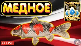 оз. Медное 🔥 Розыгрыш ПРЕМОВ и ЗОЛОТА 🔥 Рулетка 🔥 Турниры 🔥 Русская Рыбалка 4 рр4 стрим 