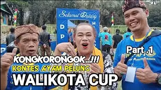 KONGKORONGOK KONTES AYAM PELUNG HIPPAPI // PART.1 @CEU