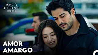 Todos Testificarán A Este Amor - Amor Eterno