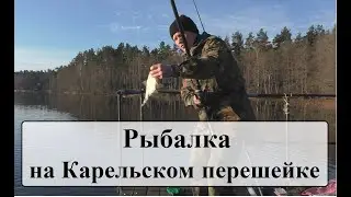 Fishing in Karelia. Fishing in the spring with a Bolognese rod. Bream and roach on a fishing rod.