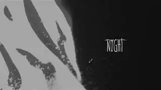 Night-We Only Live Once (सिक्रेको गीत)