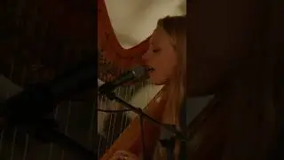 Kings Garden Artist Showcase