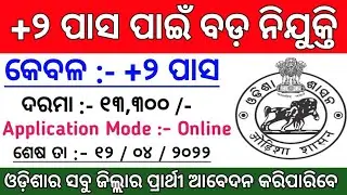 ଆସିଲା ସରକାରୀ ନିଯୁକ୍ତି ! 12th Pass Govt Jobs 2022 Odisha ! Odisha Govt Jobs ! Odisha Job Updates 2022