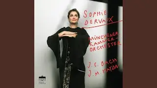 Concerto in B-Flat Major for bassoon & orchestra, W.C. 83: I. Allegro