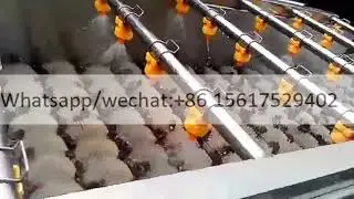 High Pressure Air Bubble Carrot Washer Fruit Pineapple Cleaning Drying Strawberry Washing Machine