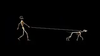 на всех успели кинуть вп за 5 минут