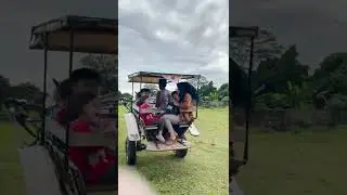 #Short