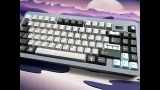 IM+ Meta & Endless Summer Switches Sound Test
