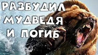 Разбудил медведя и погиб ! Охота с помощью волка ! Day R v.724 #17