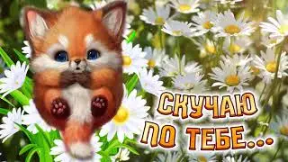 Я очень сильно скучаю! Без тебя одиноко! Трогательные слова! Скучаю по тебе