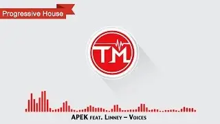 APEK feat. Linney - Voices