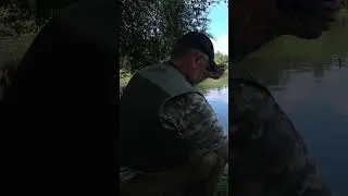 Рибалка на золотого карася на поплавочну вудку з берега.