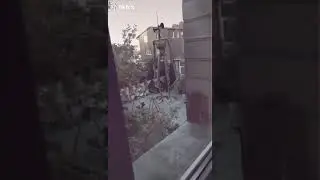 серенаголовый