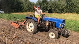 Картопля вродила як банани! Завершення сезону