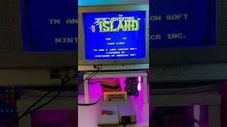 Famicom/NES - Hudson’s Adventure Island 