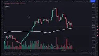 How To Use Price Alerts: Full Walkthrough