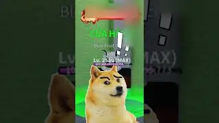 NEW FRUIT😨 | Doge Gaming 