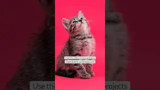 Get this video on my web site Kmeel.com. Royalty Free Video 
