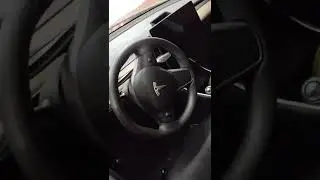 Не ездите на Тесла за грибами
