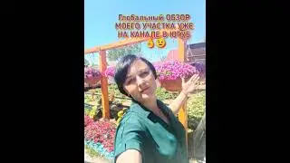 ГЛОБАЛЬНЫЙ ОБЗОР МОЕГО - Уже на моём канале - Петуния выращивание и уход - Природное земледелие