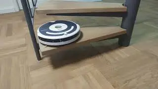 Roomba Torture