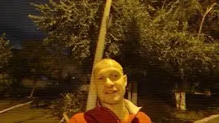 Дурдачник вайб