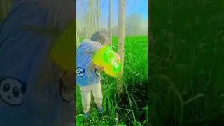 #trending