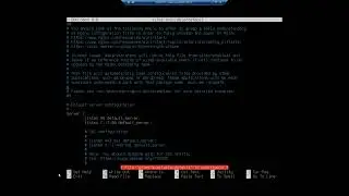 Installing the NGINX web server in Ubuntu