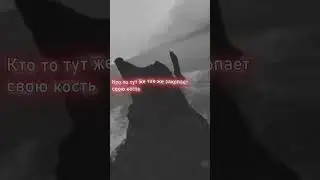 типо тизер ..07.24