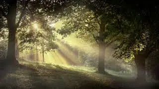 Красивая природа под расслабляющую музыку для снятие стресса #8. Beautiful nature and relaxing music