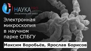 Электронная микроскопия в научном парке СПБГУ – Максим Воробьёв и Ярослав Борисов | Научпоп