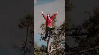 Прожила 2 года на верхушке дерева