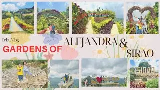 SIRAO & ALEJANDRA GARDENS II FAMILY VACATION CEBU CITY #sirao  #gardenscapes  #cebu