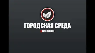 Развитие мотоспорта в Ярославском регионе: «Moto Fеst Yaroslavl»