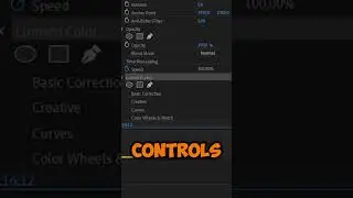 How To Copy Lumetri Color From One Clip To Another