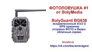 Фотоловушка #1 от BolyMedia - BolyGuard ( Болигард ) BG636 анпакинг обзор функции