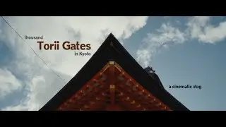 Let's Go to Kyoto | Day 6 | Fushimi Inari Shrine  (Sony A7C + Tamron 20-40mm F2.8)