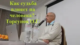 Как судьба влияет на человека? Торсунов О.Г.