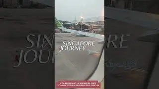 SINGAPORE JOURNEY | PLANE - IMMIGRATION - JEWEL CHANGI AIRPORT - MC DONALD - CITY 