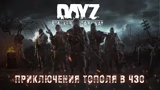 СТАЛКЕР РП! НАРЕЗКА ВСЕГО ЧТО ПРОИСХОДИЛО ЗА КАДРОМ! | ВЕТЕРАН ТОПОЛЬ | Сервер: DarkWay