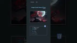 Amazing Image Zoom Hover Effect Tricks 