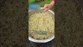 Традиционные сладости😋| Cладко и полезно))✨| Видео: 杭州手工艺品