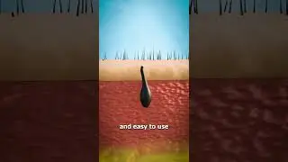 Why Straight Razors Are Better 🤔