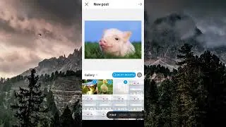 How to Upload a Full Size Photo on Instagram in 2024