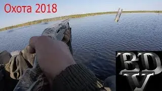 Охота 2018
